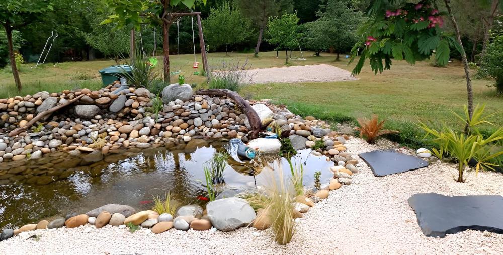 bassin-jardin